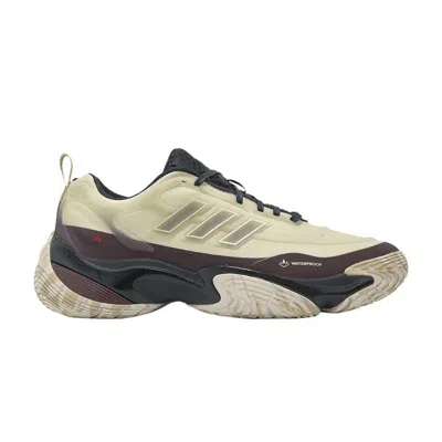 ADIDAS ORIGINALS ADIDAS CLIMAPROOF AMPHY 'YEAR OF THE SNAKE' | TAN | MEN'S SIZE 4.5