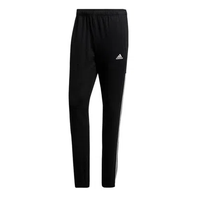 ADIDAS ORIGINALS adidas COMM Training Pants 'Black'