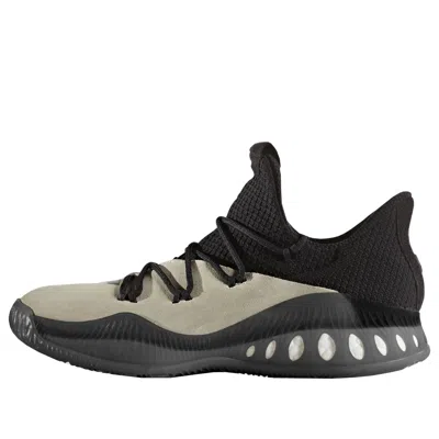 ADIDAS ORIGINALS adidas Crazy Explosive Low 'Day One'
