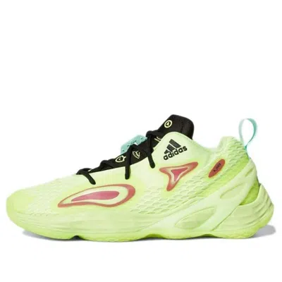 ADIDAS ORIGINALS adidas Exhibit A