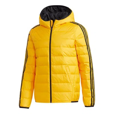 ADIDAS ORIGINALS adidas neo M 3s Lwd Puff Sports hooded down Jacket Gold Color