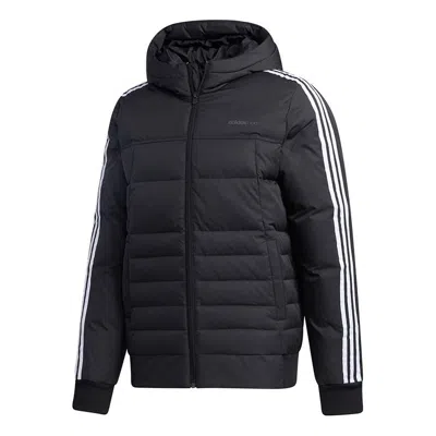 ADIDAS ORIGINALS adidas neo Sprt Dwn Puff Hooded Down Jacket Men Black