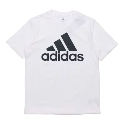 ADIDAS ORIGINALS adidas Printed Big Logo Essentials Tee Short Sleeve Men's White