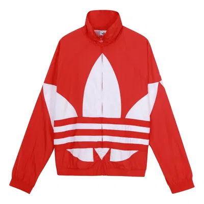 ADIDAS ORIGINALS adidas originals Bg Trefoil TT Large logo Sports Jacket Red