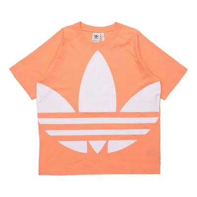 ADIDAS ORIGINALS adidas originals Big Trefoil Boxy Tee Large logo Printing Pink