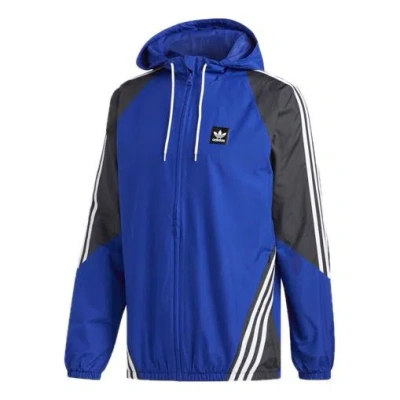 ADIDAS ORIGINALS adidas originals Insley Hooded Jacket Blue