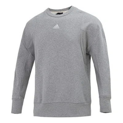 ADIDAS ORIGINALS Men's adidas Internal Crew Round Neck Long Sleeves Pullover Gray