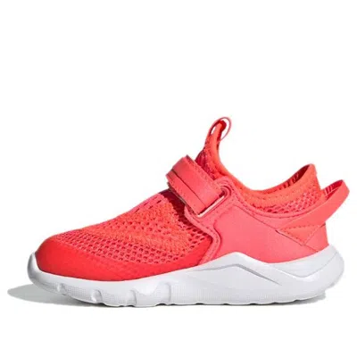 ADIDAS ORIGINALS (TD) adidas ActiveFlex Summer.RDY J 'Pink'