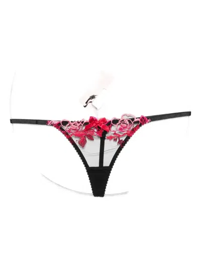 AGENT PROVOCATEUR CALLYPSO FLORAL-EMBROIDERED THONG