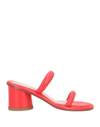 AGL ATTILIO GIUSTI LEOMBRUNI AGL WOMAN SANDALS RED SIZE 6.5 LEATHER