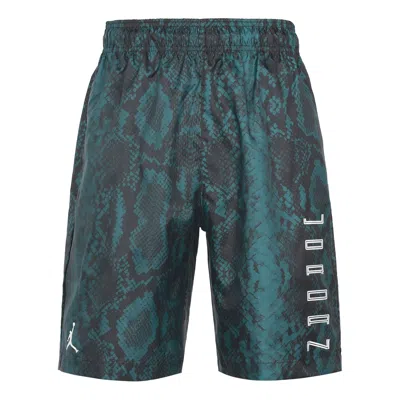 AIR JORDAN Air Jordan 11 Snakeskin Snake Skin Shorts For Men Blue/Black