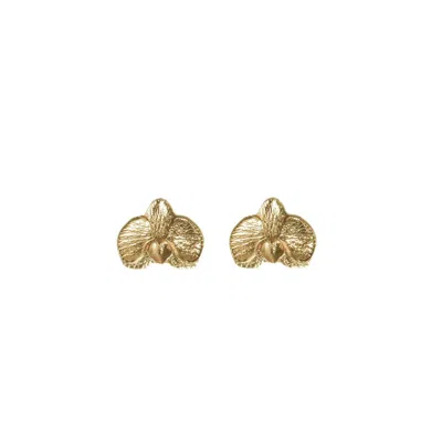 ALEGORIA JEWELLERY WOMEN'S GOLD ORCHID EARRINGS