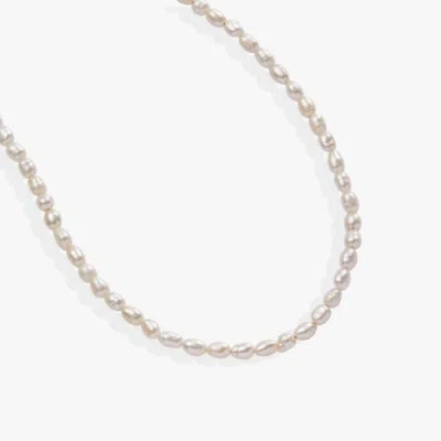 ALEX AND ANI ALEX AND ANI FRESHWATER PEARL NECKLACE