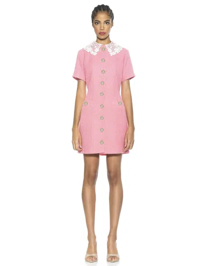 ALEXIA ADMOR PRISCILLA DRESS