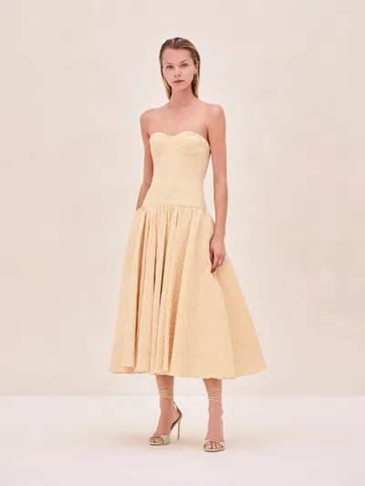 ALEXIS SUMMERS DRESS