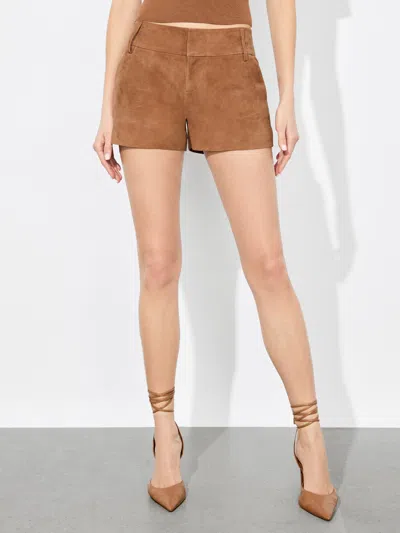 ALICE AND OLIVIA CADY SUEDE SHORT
