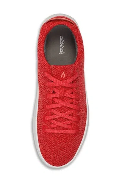 ALLBIRDS ALLBIRDS TREE PIPER SNEAKER