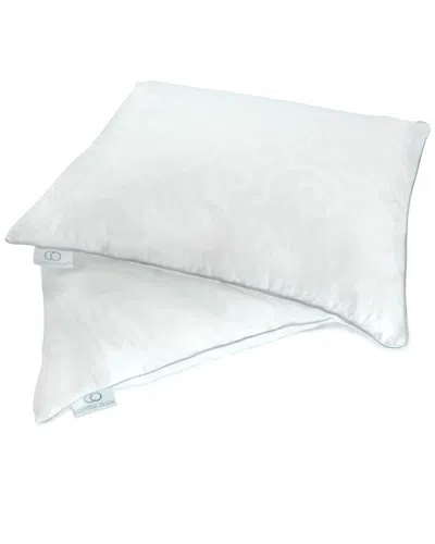 ALLIED HOME CANDICE OLSON SET OF 2 DOWN-ALTERNATIVE PILLOWS WITH REMOVABLE COVER