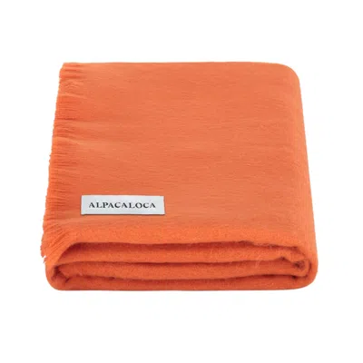 ALPACA LOCA WOMEN'S BROWN / ORANGE SCARF TERRACOTTA