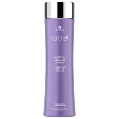 ALTERNA HAIRCARE CAVIAR ANTI-AGING MULTIPLYING VOLUME SHAMPOO 8.5 OZ/ 251 ML