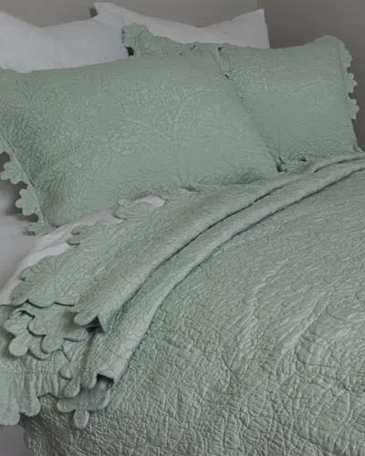 AMITY HOME AMITY HOME SHANTOON QUILT