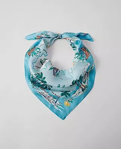 ANN TAYLOR MAP SILK LITTLE SCARF