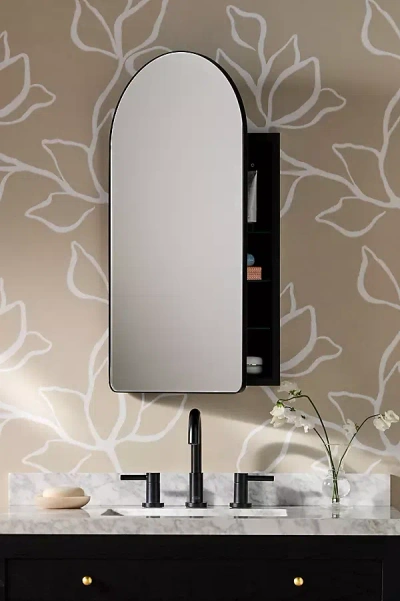 ANTHROPOLOGIE COLCA MIRRORED BATH CABINET