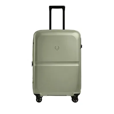 ANTLER SINGLE STRIPE MEDIUM SPINNER