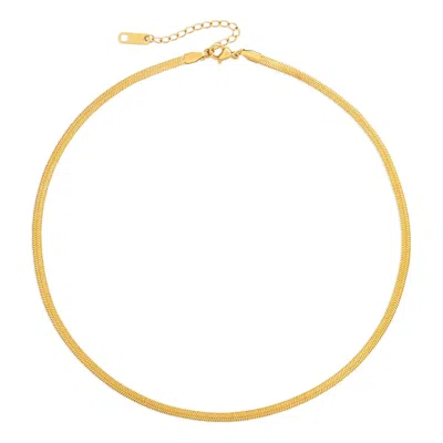 ARCTIC FOX & CO. WOMEN'S GOLD THE SNAKE CHAIN NECKLACE