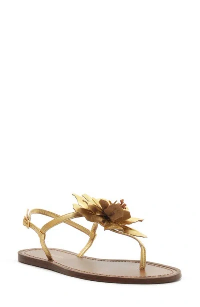 AREZZO AREZZO DAISY SLINGBACK SANDAL