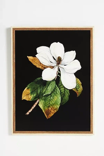 ARTFULLY WALLS WHITE MAGNOLIA WALL ART
