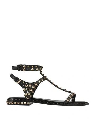 ASH ASH WOMAN SANDALS BLACK SIZE 7 LEATHER