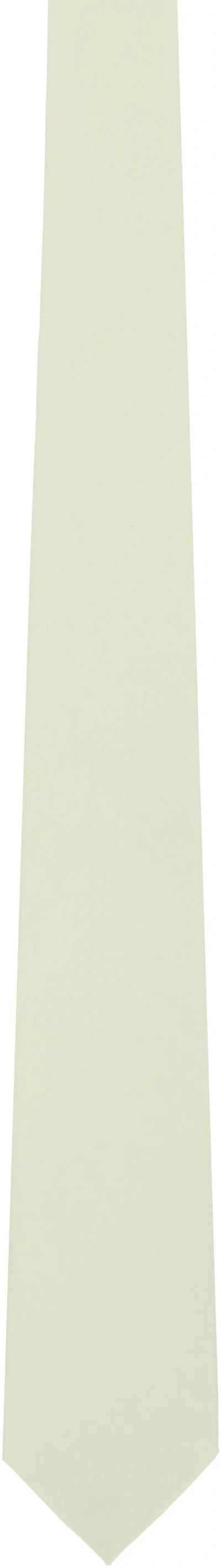 AURALEE GREEN WASHED FINX TIE