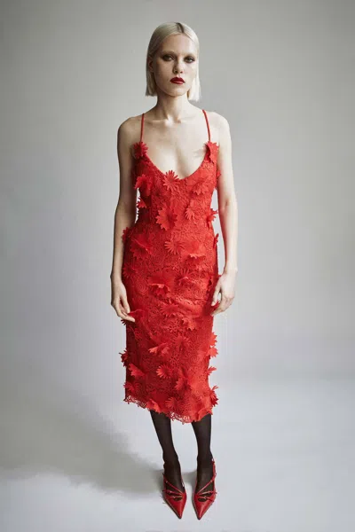 BARDOT ADEI LACE MIDI DRESS