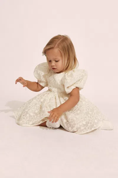 BARDOT JUNIOR BABY JULIET EMBROIDERED DRESS