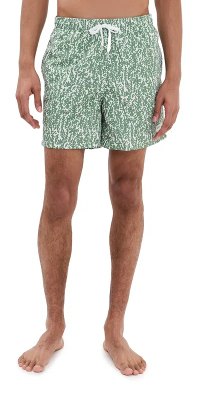 BATHER THYME TROPIC CAMO SWIM TRUNKS 5.5 GREEN