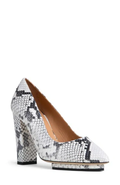 BEAUTIISOLES BEAUTIISOLES PIPPA POINTED TOE PLATFORM PUMP