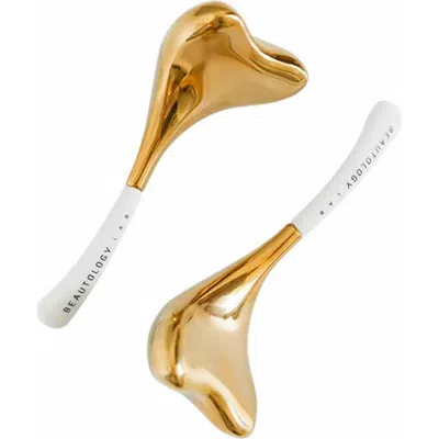 BEAUTOLOGY LAB BEAUTOLOGY LAB CRYO TONING TOOLS