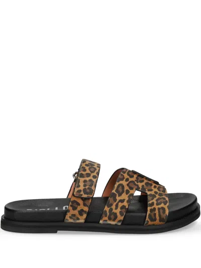 BIBI LOU LEOPARD-PRINT SLIDES