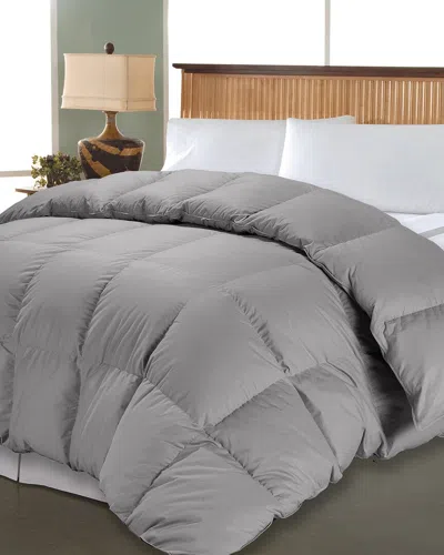 BLUE RIDGE HOME BLUE RIDGE HOME PIMA COTTON DOWN ALTERNATIVE COMFORTER