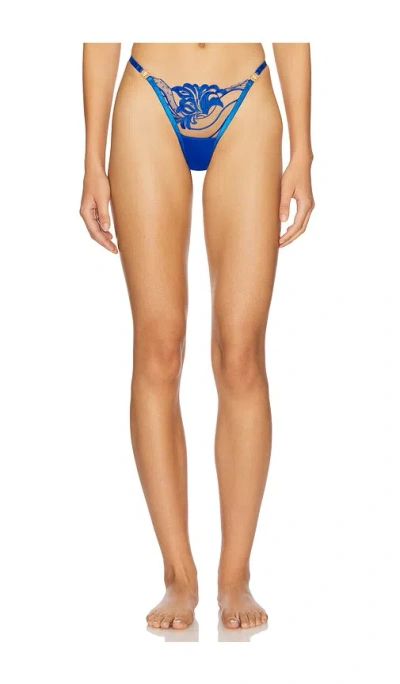 BLUEBELLA MONIQUE THONG