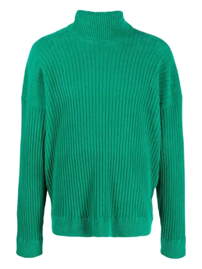 BONSAI RIBBED TURTLENECK SWEATER