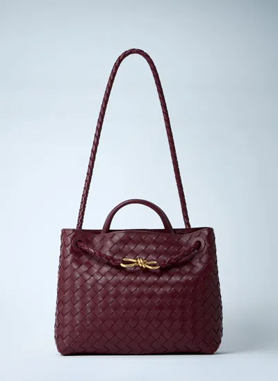 BOTTEGA VENETA MEDIUM ANDIAMO HANDBAG