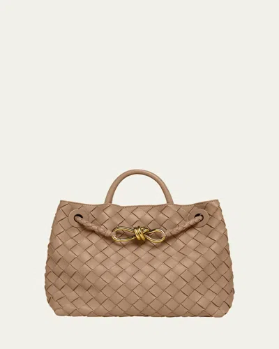 BOTTEGA VENETA SMALL ANDIAMO BAG