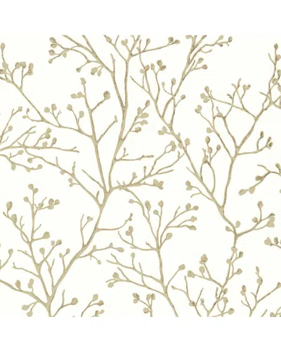 BREWSTER BREWSTER A-STREET PRINTS KOURA CREAM BUDDING BRANCHES WALLPAPER