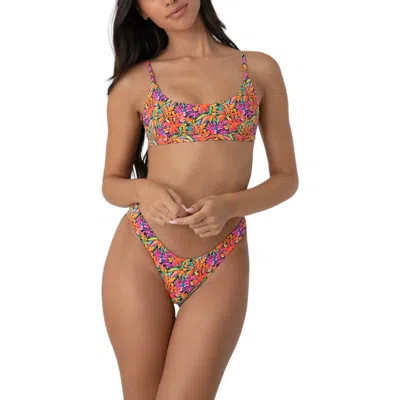 BRIGHT SWIMWEAR BALI BOTTOM BRIGHT SWIMWEAR BALI BOTTOM