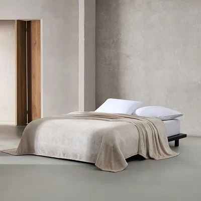 CALVIN KLEIN CORE PLUSH SOLID BED BLANKET, KING