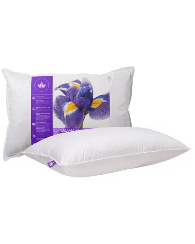 CANADIAN DOWN & FEATHER COMPANY CANADIAN DOWN & FEATHER COMPANY HUTTERITE GOOSE DOWN PILLOW FIRM SUPPORT