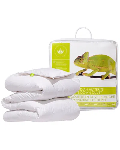 CANADIAN DOWN & FEATHER COMPANY CANADIAN DOWN & FEATHER COMPANY HUTTERITE WHITE DOWN DUVET REGULAR WEIGHT