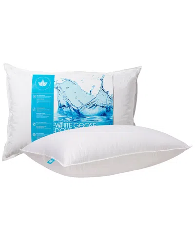 CANADIAN DOWN & FEATHER COMPANY CANADIAN DOWN & FEATHER COMPANY WHITE GOOSE DOWN PILLOW SOFT SUPPORT
